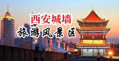 性爱插逼的视频中国陕西-西安城墙旅游风景区